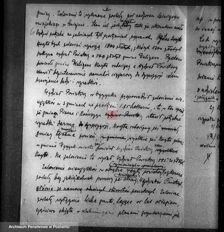 Obraz 10 z jednostki "Zalesienie nieużytków /sprawy ogólne/"