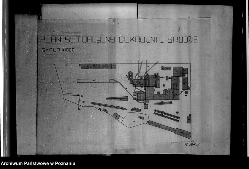 Obraz 10 z jednostki "Cukrownia w Środzie Towarzystwo Akcyjne Nr woj. 123"