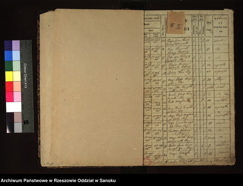 image.from.unit "Księga zgonów dla miejscowości Stefkowa"