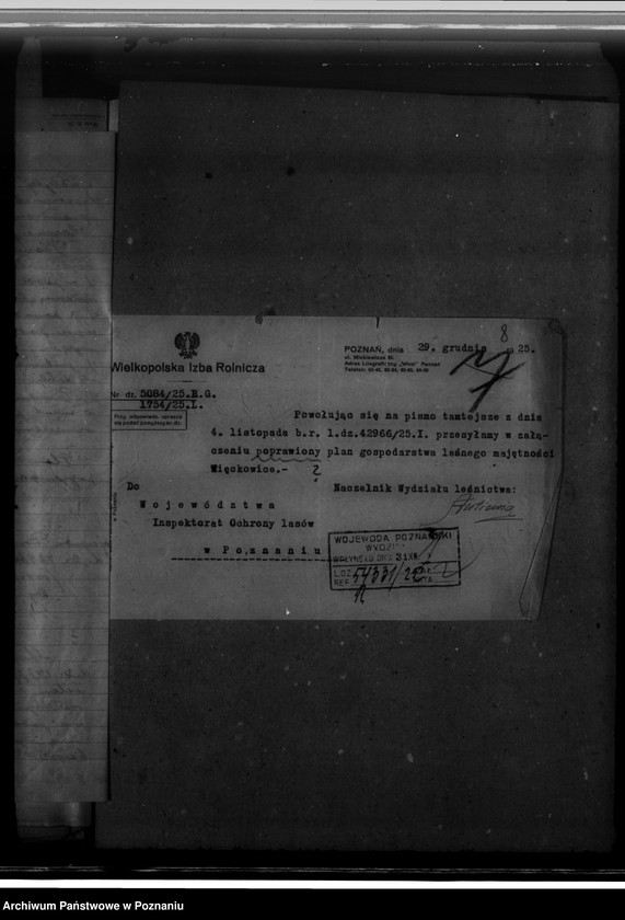 Obraz 12 z jednostki "Majętność leśna Więckowice powiat poznański"