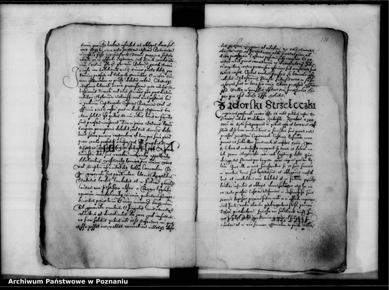 Obraz 17 z jednostki "Inscriptiones, relationes [inducta]"