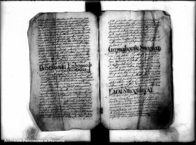 Obraz 5 z jednostki "Inscriptiones [inducta]"