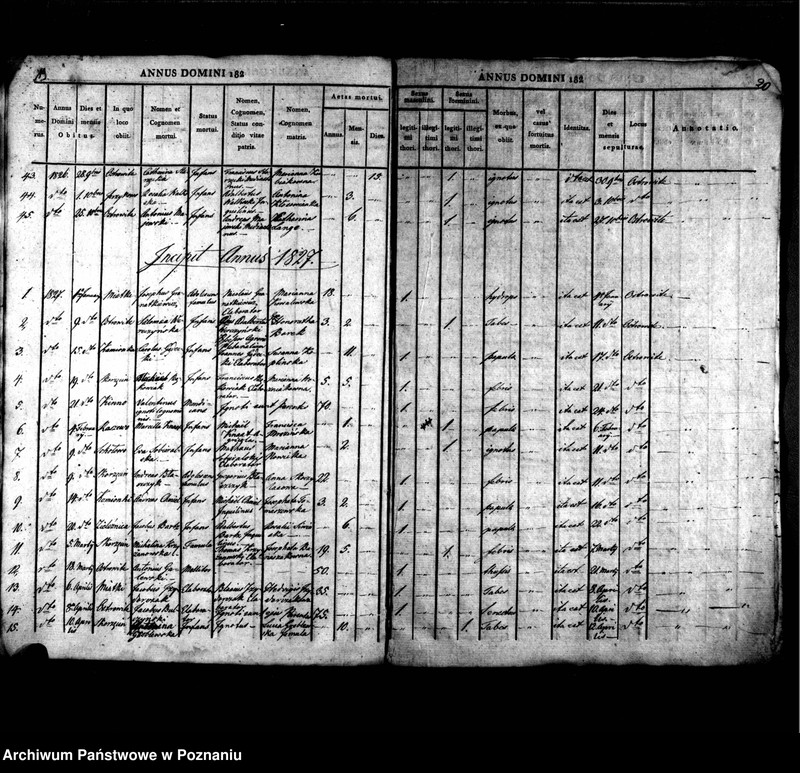 image.from.unit.number "Liber mortuorum"