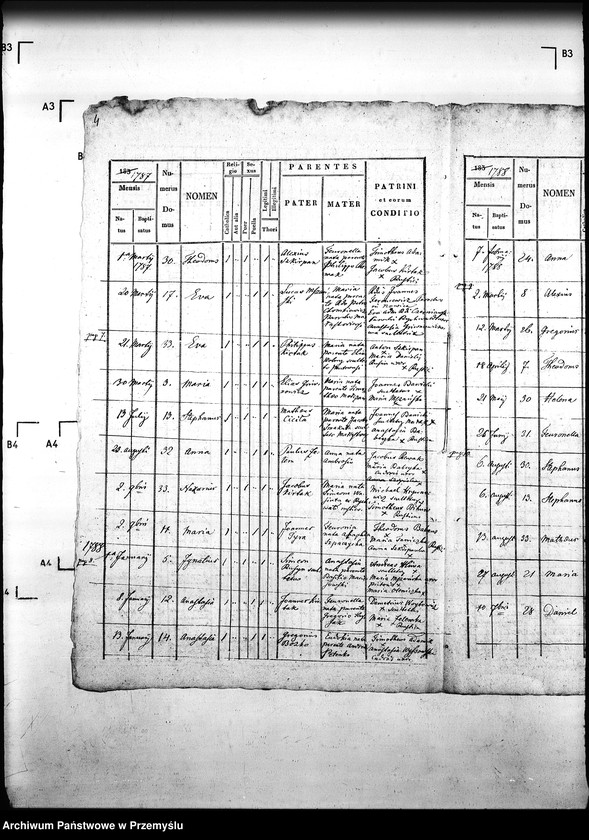 Obraz 8 z jednostki "[Kopie ksiąg metrykalnych parafii Małastów z filiami Ropica Ruska, Pętna (dekanat Gorlice)]"