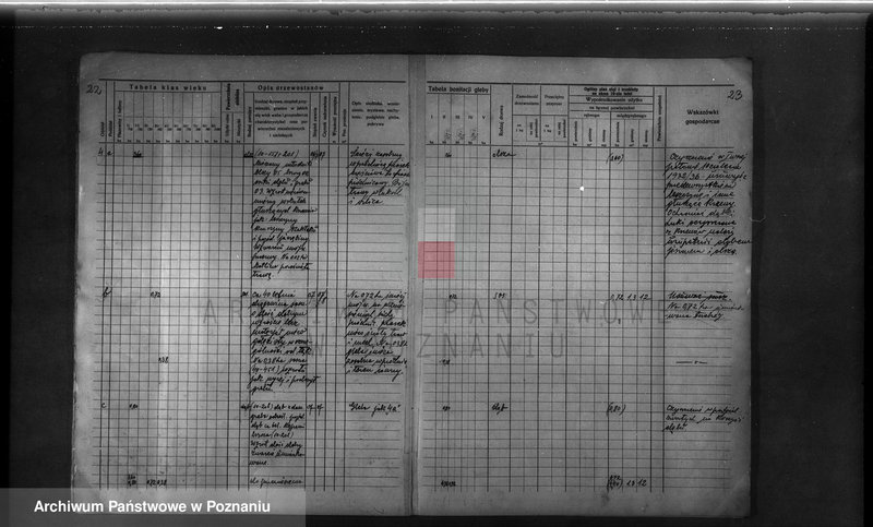 Obraz 20 z jednostki "Probostwo Stoki" powiat międzychodzki plan urządzenia gospodarstwa leśnego"