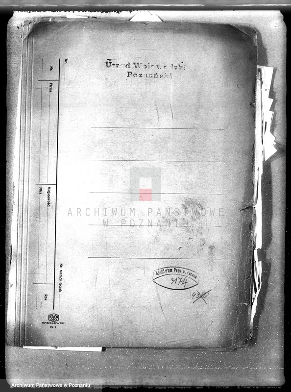 Obraz 4 z jednostki "Zalesianie nieużytków w powiecie czarnkowskim pod nadzorem Wielkopolskiej Izby Rolniczej"