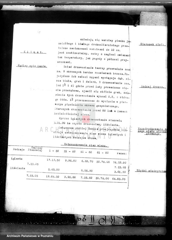 Obraz 13 z jednostki "Nadzór nad gospodarką w lasach majątku Lubinia-Wielka w powiecie jarocińskim"