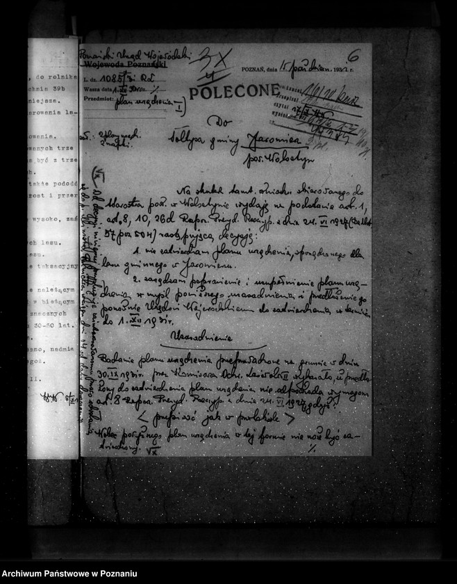 Obraz 11 z jednostki "Las gminy Jaromierz powiat wolsztyński"