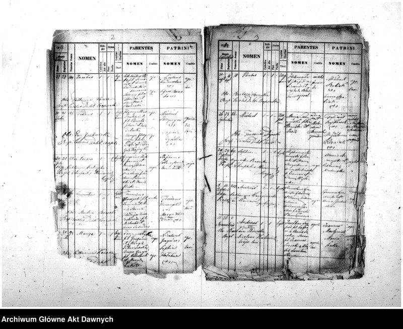 image.from.unit.number "Parafia: różne. Dekanat: różne. Fragmenty akt różnych parafii archidiecezji lwowskiej: 1. Gródek Jagielloński (dek. Gródek) - fragment (prawdopodobnie ekstrakt) księgi urodzeń z lat 1862-1863, 9 s.; 2. Kobylnica/Fehlbach (dek. Lubaczów) - fragment (prawdopodobnie ekstrakt) księgi urodzeń z lat 1901-1904, 1906-1908, 26 s.; 3. Martynów Nowy (dek. Dolina) - fragment księgi zgonów 1871, 1873, 5 s.; 4. Nadwórna (dek. Stanisławów) - fragment księgi urodzeń 1890, 9 s.; 5. Podhajce (dek. Podhajce) - fragment księgi zgonów 1899, 8 s.; 6. Podhorce (dek. Brody) - fragment księgi ślubów 1899-1900, 7 s.; 7. Stanisławów (dek. Stanisławów) - fragment (ekstrakt) księgi zgonów 1876 (pośw. 1877), s. 20; 8. Św. Stanisław (dek. Stanisławów) - fragment (ekstrakt) księgi urodzeń 1929, 2 s.; 9. Tyśmienica (dek. Stanisławów) - fragment księgi zgonów 1876, 2 s.; 10. Załoźce (dek. Brody) - fragment księgi ślubów, lata osiemdziesiąte XIX w., szczątek, 2 s.; 11. Śniatyn (dek. Horodenka) - fragment księgi urodzeń 1882, szczątek 2 s.; 12. Zawałów (dek. Skałat) - fragment (ekstrakt) księgi zgonów 1914, 3 s.; 13. Złotniki (dek. Podhajce) - fragment księgi zgonów 1891, 1 s.."