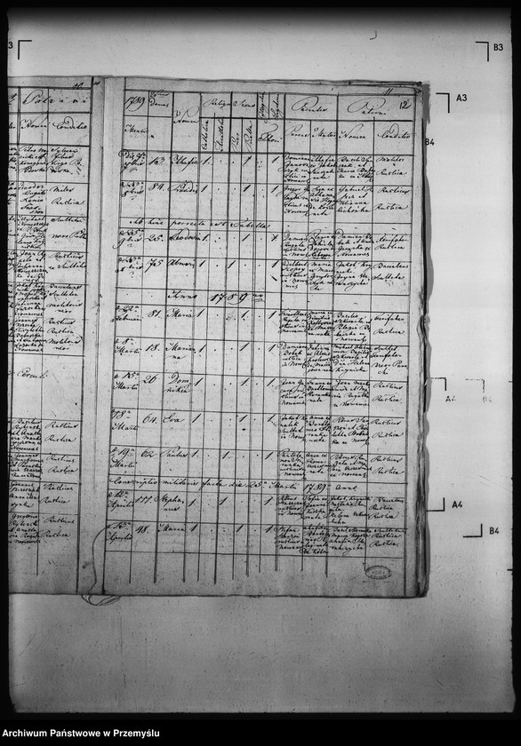 Obraz 16 z jednostki "[Kopie ksiąg metrykalnych parafii Nowa Wieś z filią Łosie (dekanat Muszyna)]"