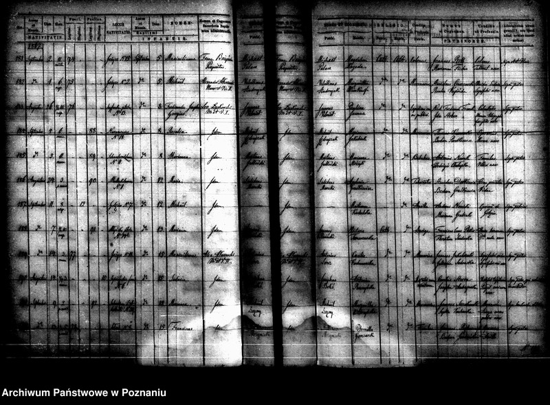 Obraz 19 z jednostki "Księga urodzin"