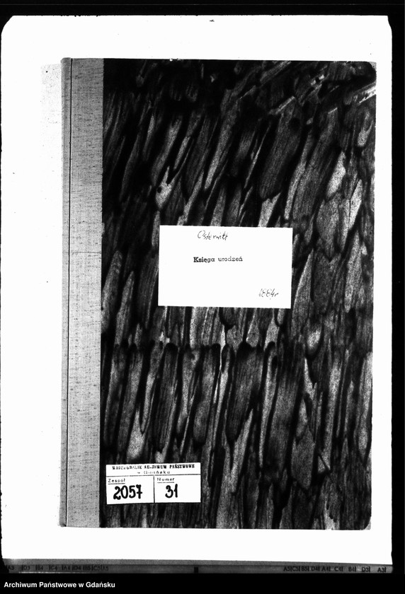 image.from.unit.number "Księga urodzeń"