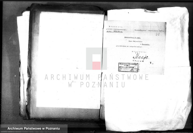 Obraz 17 z jednostki "/Lasy prywatne/ Spis według powiatów"