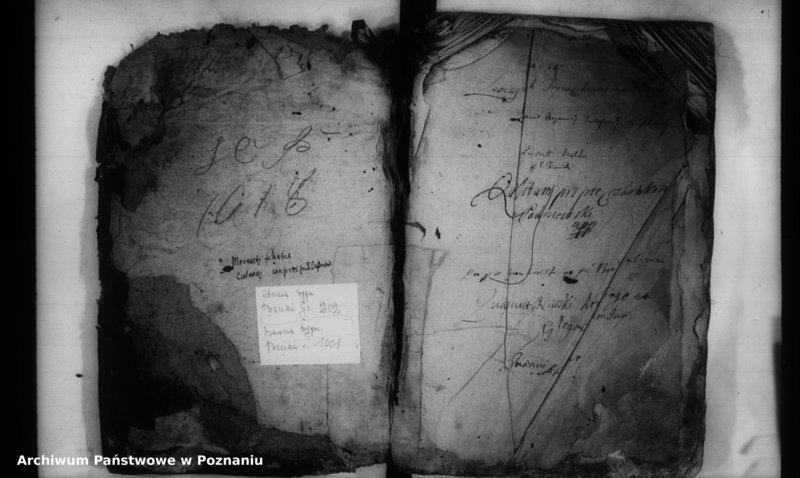 Obraz 3 z jednostki "Inscriptiones [inducta]"