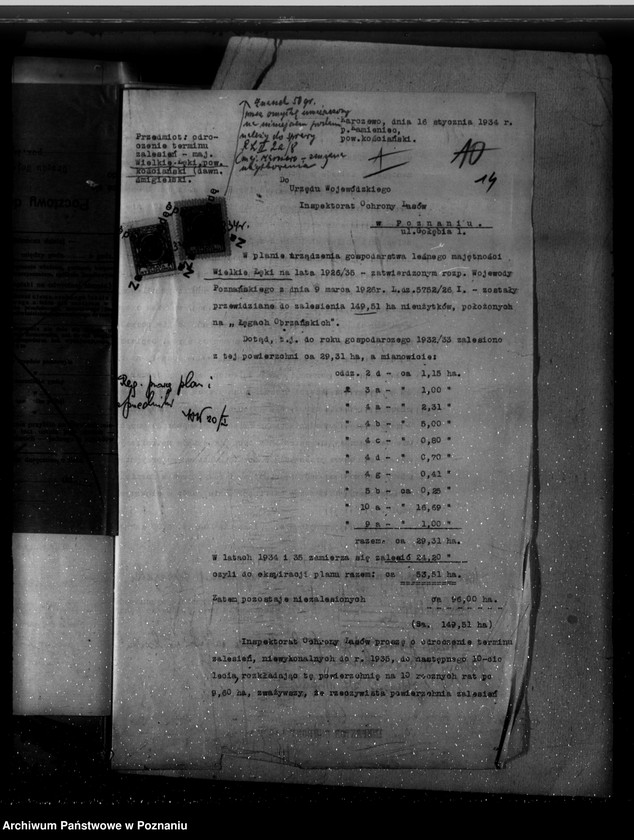 Obraz 18 z jednostki "Majętność /leśna/ Wielkie Łęki powiat kościański"