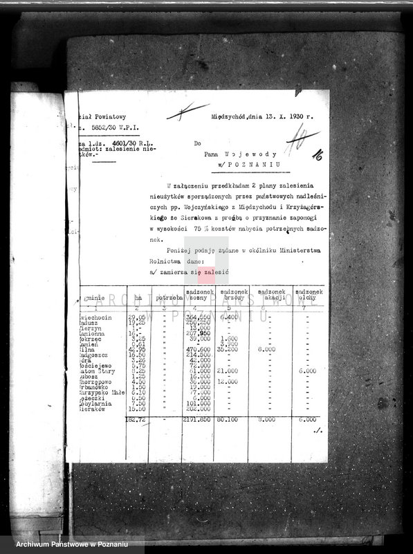 Obraz 20 z jednostki "Zalesienie nieużytków w powiecie międzychodzkim"