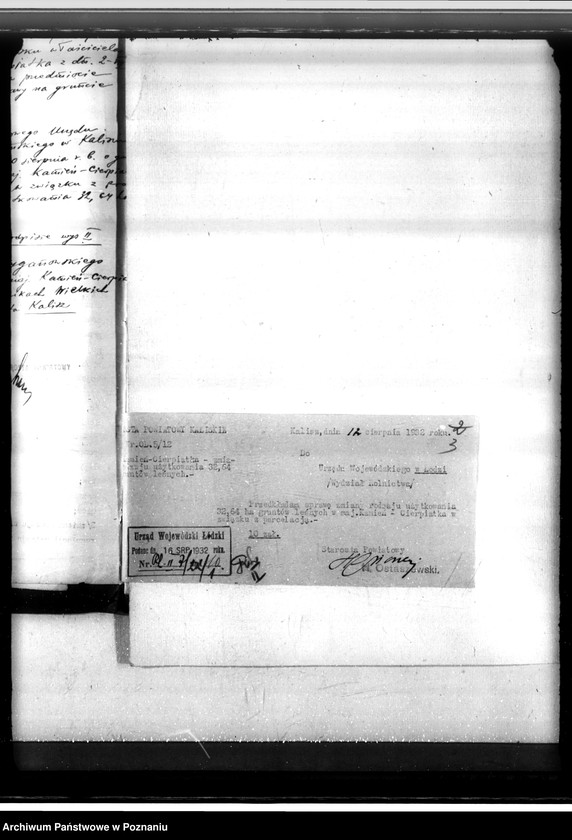 Obraz 7 z jednostki "Majątek Kamień-Cierpiatki powiat kaliski /sprawy leśne/"