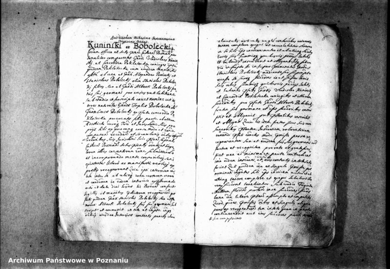 Obraz 11 z jednostki "Inscriptiones [inducta]"