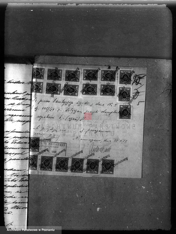 Obraz 9 z jednostki "Majętność leśna Niemierzewo w powiecie międzychodzkim"