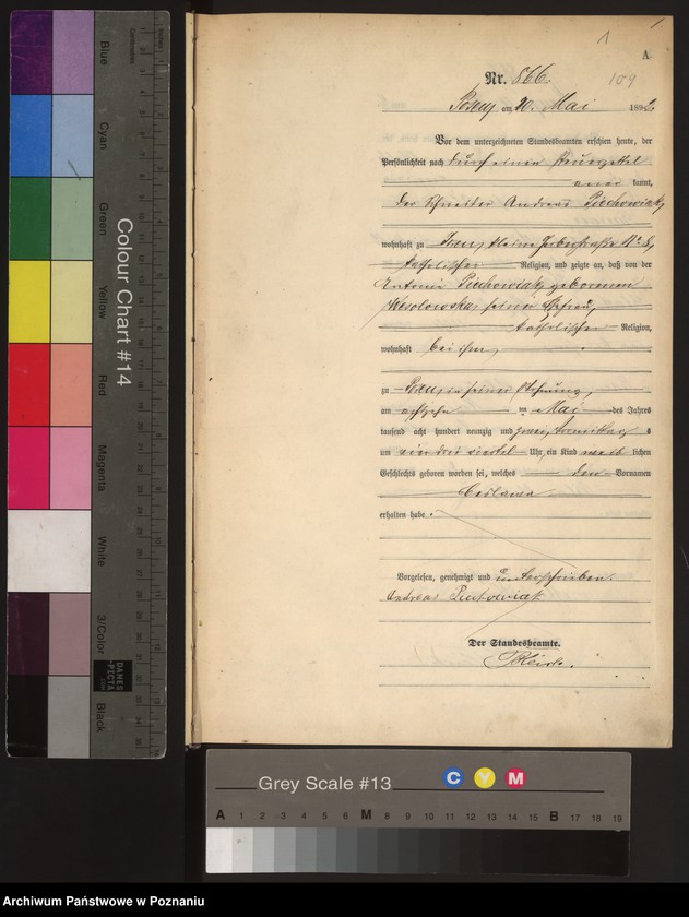 Obraz 4 z jednostki "Księga urodzeń t. III"