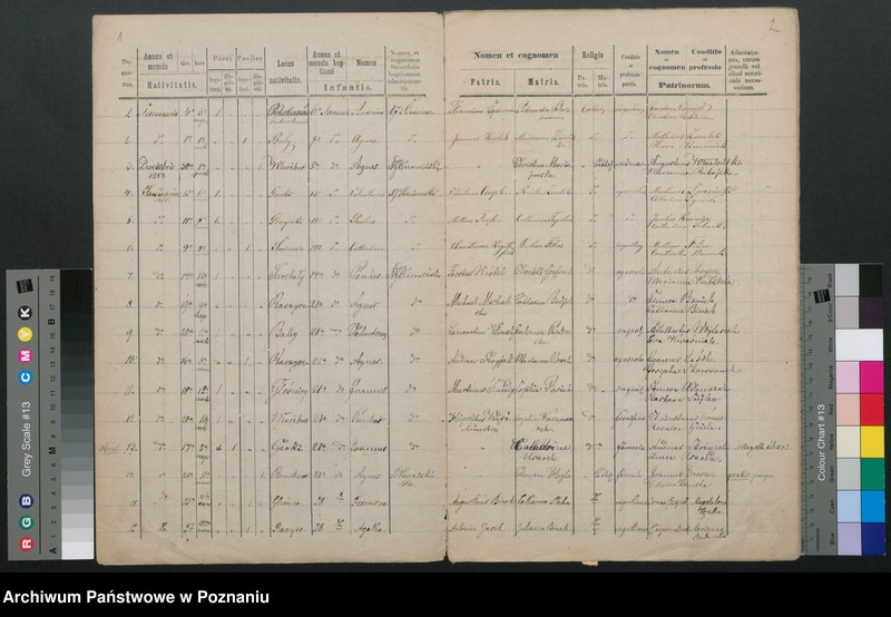 Obraz z jednostki "Duplikat baptisatorum"