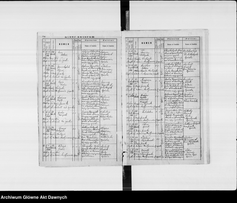 image.from.unit.number "Parafia: Janów Trembowelski. Dekanat: Trembowla. Księga metrykalna urodzeń 1888-1889, 1891, 1893-1902, ślubów 1888-1889, 1891, 1893-1898, 1900-1902 i zgonów 1888-1889, 1891, 1893-1902 dla miasta Janów i wsi: Kobyłowłoki* i Papiernia*, Słobódka i Zniesienie, Dereniówka, Dołhe, Młyniska*, Podhajczyki**, Wybranówka**."
