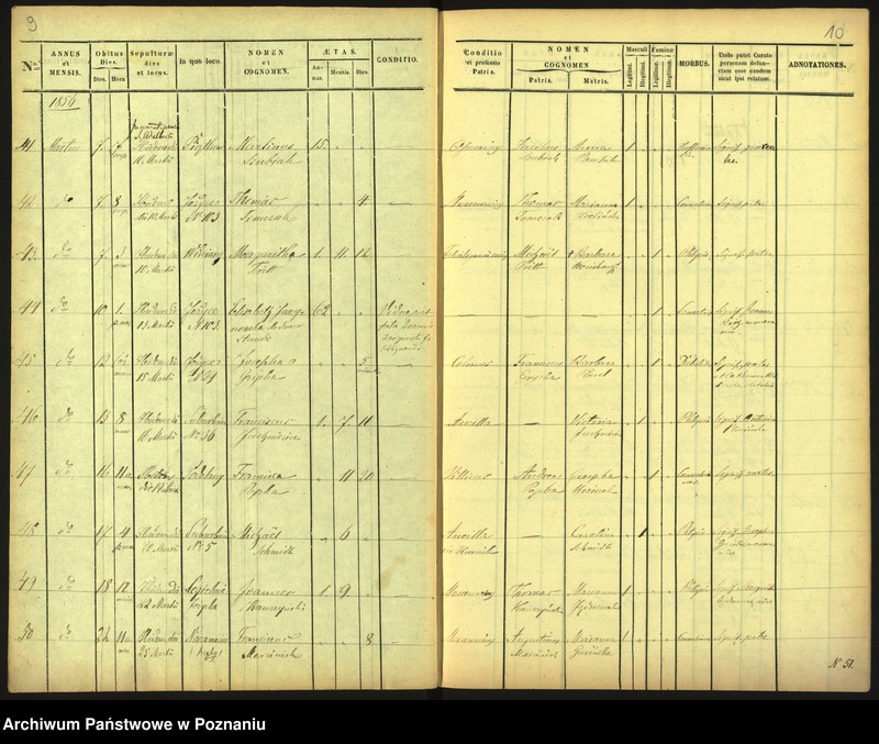 Obraz 8 z jednostki "Księga zgonów"