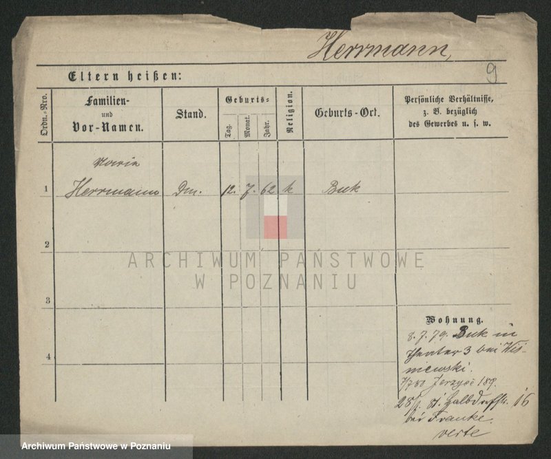 Obraz 9 z jednostki "Herman - Hermyła"