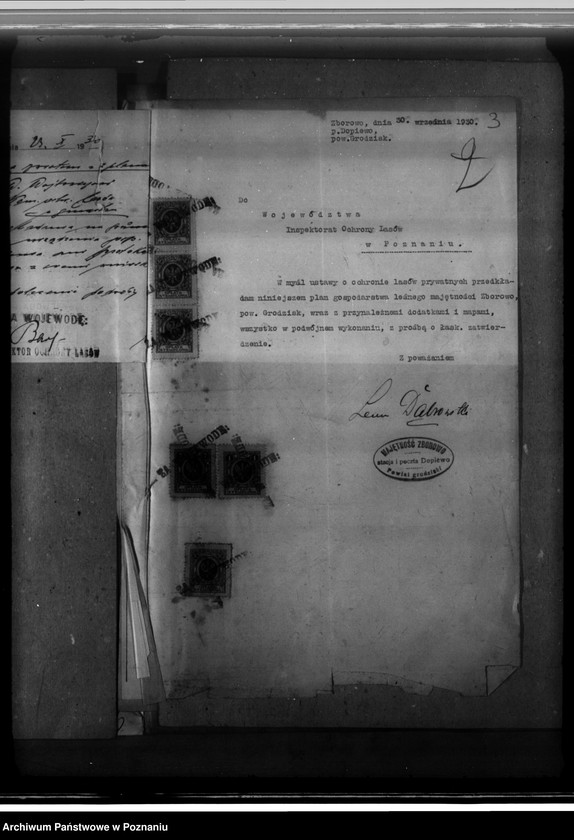 Obraz 7 z jednostki "Majętność leśna Zborowo powiat poznański"