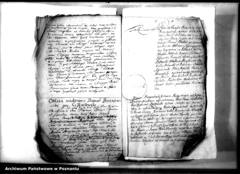 Obraz 12 z jednostki "Relationes [protocollon]"