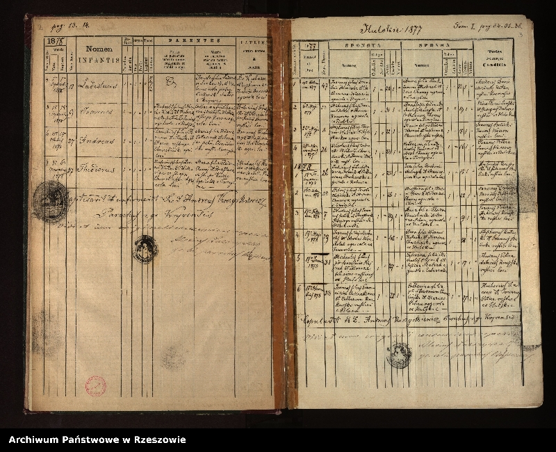 Obraz 5 z jednostki "Księga urodzeń, małżeństw i zgonów dla miejscowości Krywe (Krzywe), Hulskie i Tworylne"