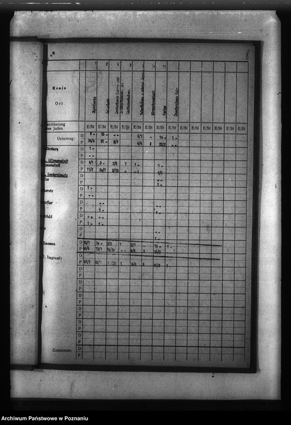 Obraz 12 z jednostki "Meldunki o chorobach zakaźnych w Kraju Warty"