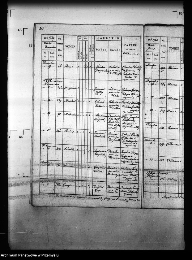 image.from.unit.number "[Kopie ksiąg metrykalnych parafii Majdan Sieniawski z filiami Adamówka, Krasne (dekanat Sieniawa)]"