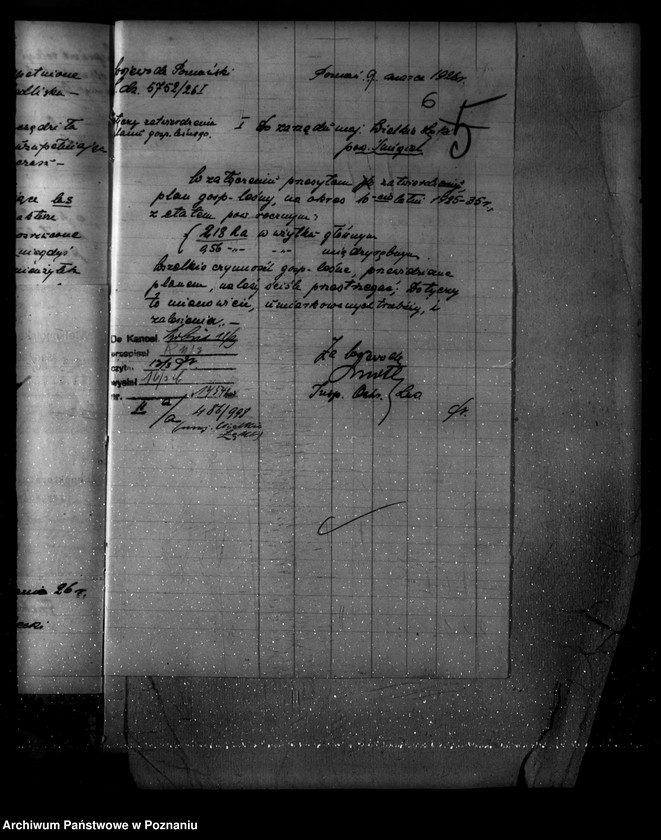 Obraz 10 z jednostki "Majętność /leśna/ Wielkie Łęki powiat kościański"