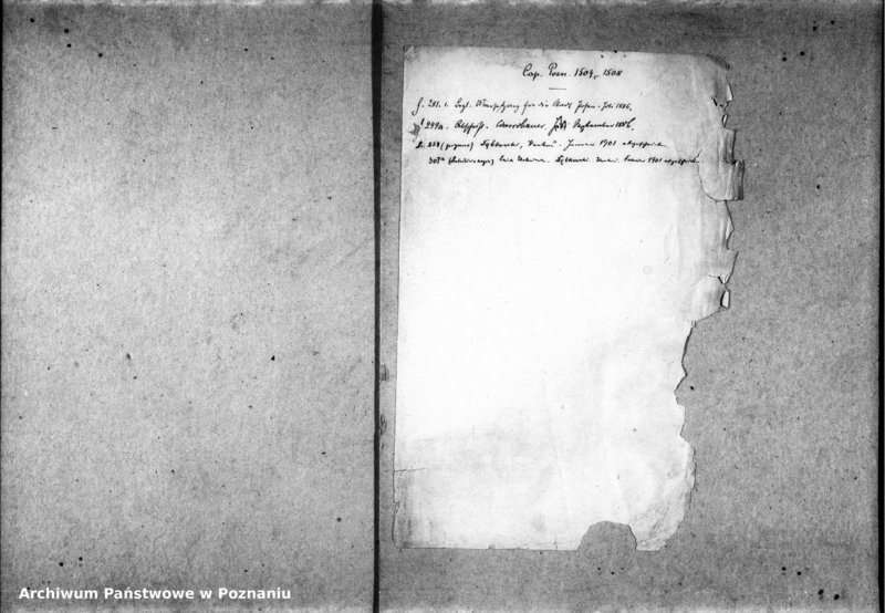 Obraz 4 z jednostki "Inscriptiones, relationes, decreta [inducta]"