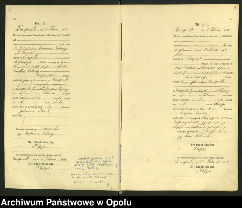 Obraz 8 z jednostki "Urząd Stanu Cywilnego Dziergowice Księga urodzeń rok 1903-05"