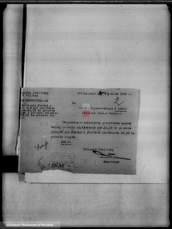 Obraz 6 z jednostki "Majątek Kamień powiat kaliski /sprawy leśne/"