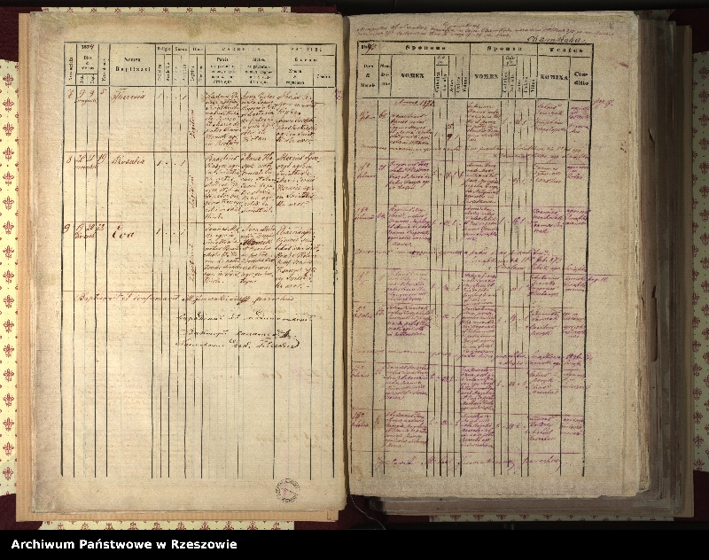 Obraz 13 z jednostki "Księga urodzeń, małżeństw i zgonów dla miejscowości Świątkowa Wielka, Świątkowa Mała (Świątkówka), Świerzowa (Świerzowa Ruska)"