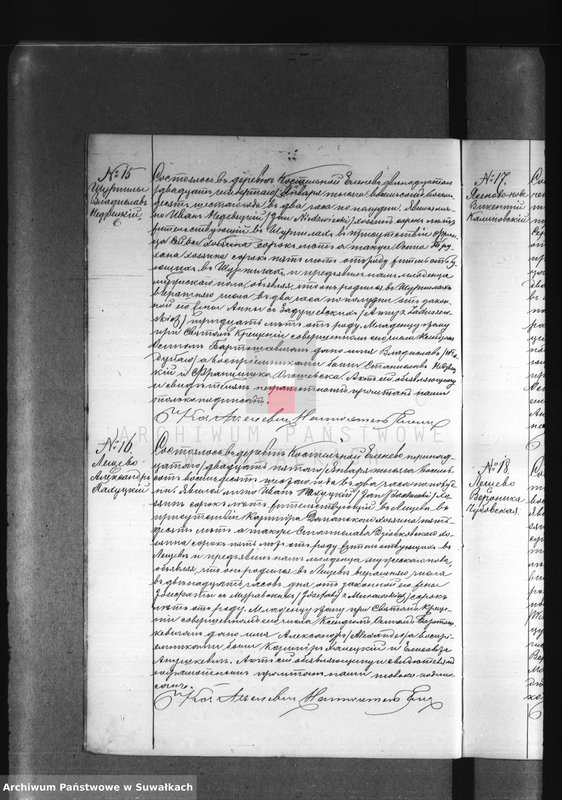 Obraz 12 z jednostki "Dublikat Elenevskago Prichoda s 1886 goda"