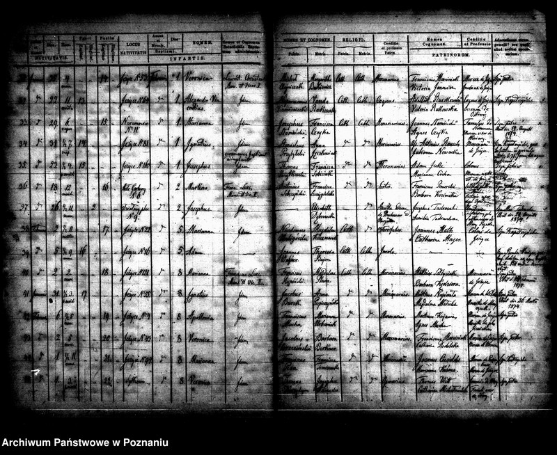 Obraz 7 z jednostki "Księga urodzin"