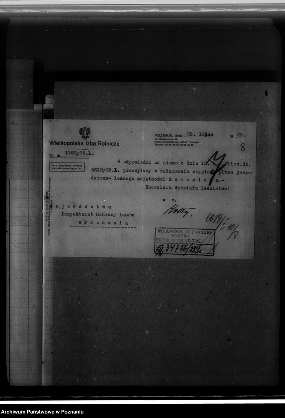 Obraz 12 z jednostki "Nadzór nad gospodarką w lasach majątku Szreniawa powiat poznański"