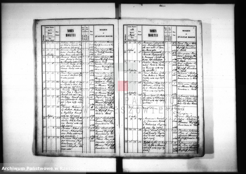 image.from.unit.number "Księga zgonów - Borek Nowy"