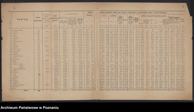 Obraz 4 z jednostki "[Wyniki stwierdzenia powierzchni zasiewów w Księstwie Pomorskim w czerwcu 1919 roku, wyniki oszacowania plonów roślin okopowych w 1919 roku i wyniki spisu żywego inwentarza 15 XII 1919 roku]"