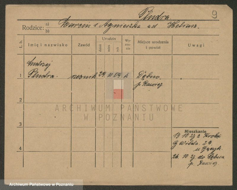 Obraz 9 z jednostki "Płudowski - Poczwardowski"