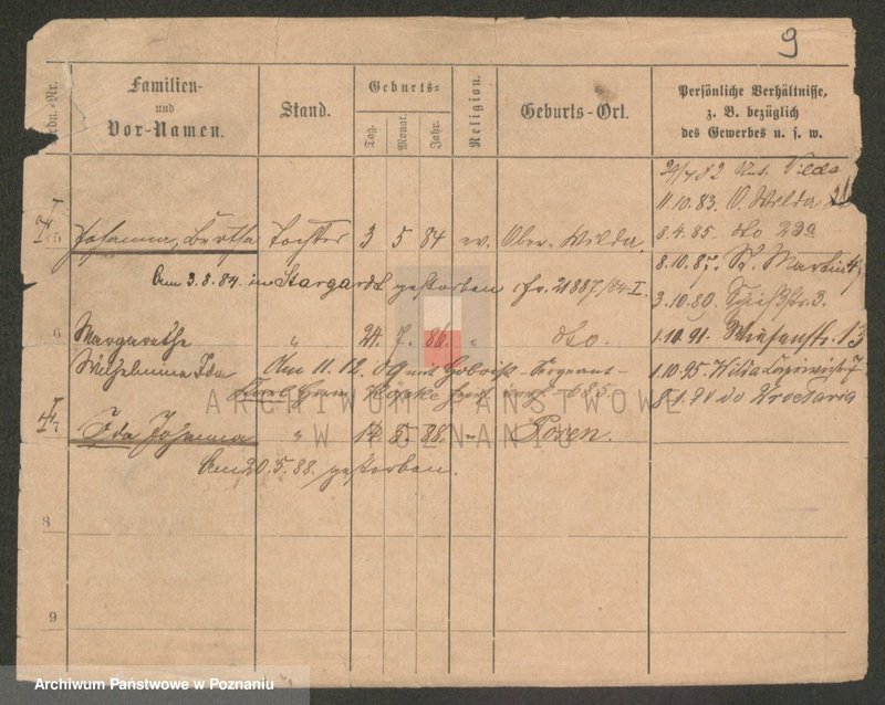 Obraz 9 z jednostki "Pokramowicz - Pol (żonaci - samotni mężczyźni)"