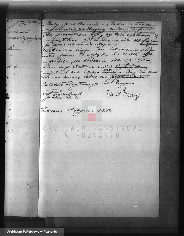 Obraz 9 z jednostki "Majętność leśna Wąsowo w powiecie nowotomyskim"