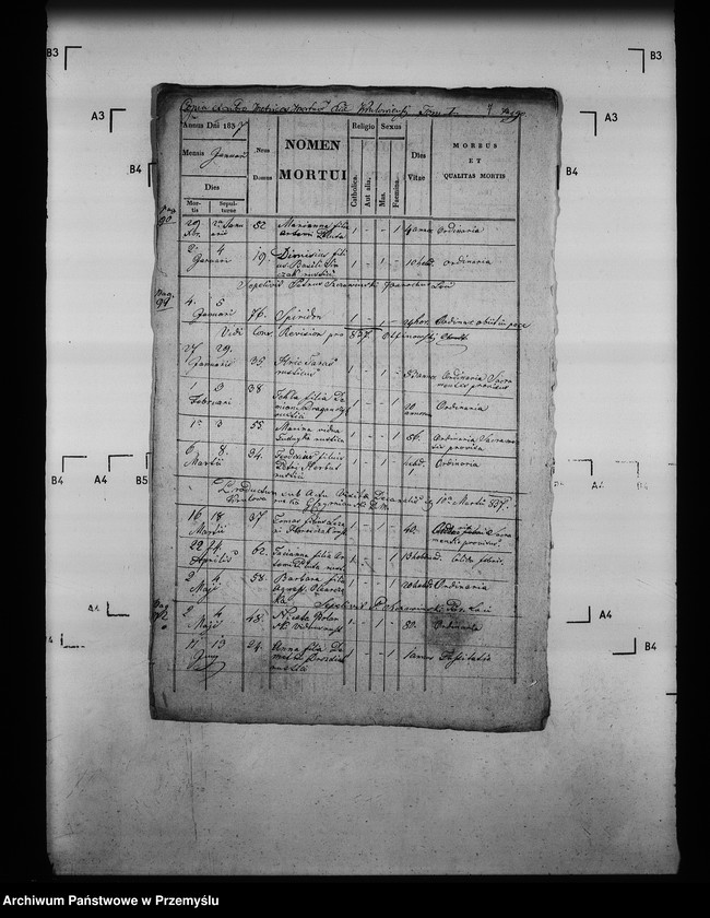 Obraz 10 z jednostki "[Kopie ksiąg metrykalnych parafii Królowa Ruska z filią Bogusza (dekanat Grybów)]"