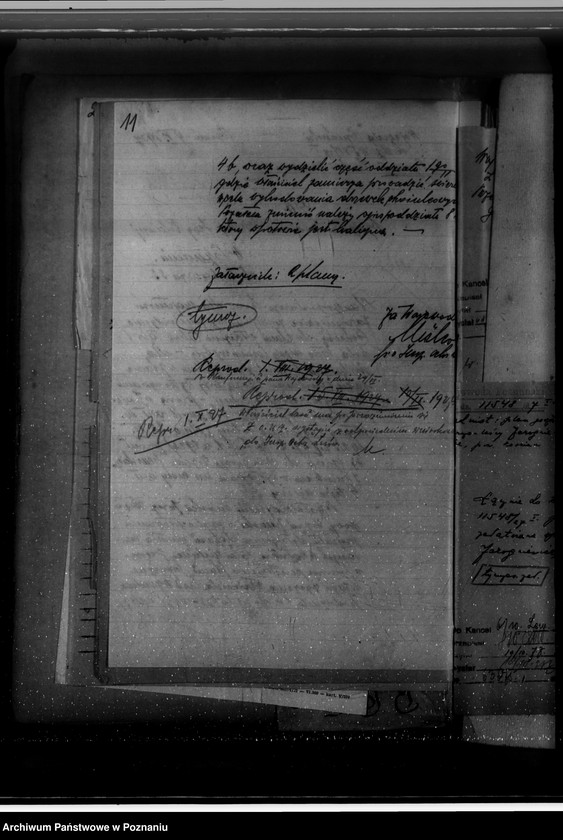 Obraz 15 z jednostki "Gospodarka w lasach majątku Jarogniewice powiat kościański"