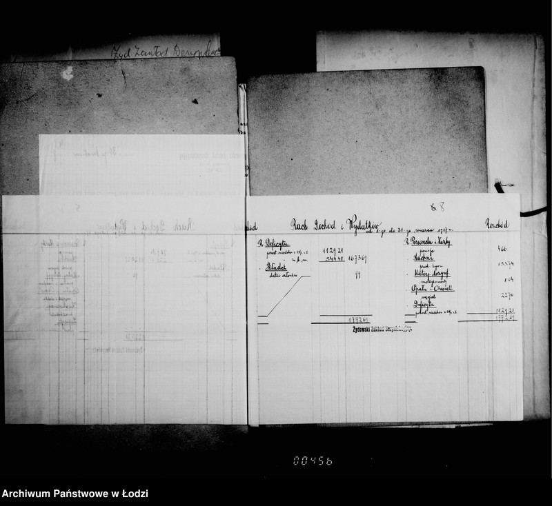 Obraz 10 z jednostki "Żydowski Zakład Dezynfekcyjny"