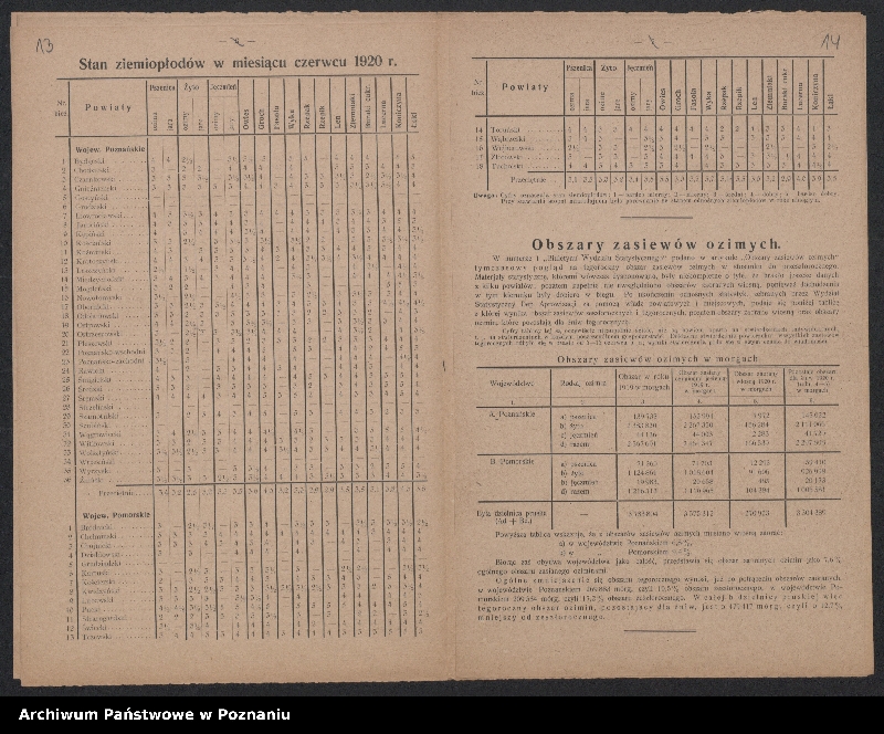 Obraz 10 z jednostki "[Biuletyny statystyczne Wydziału Statystycznego Ministerstwa byłej Dzielnicy Pruskiej - stan ziemiopłodów w kwietniu, maju i lipcu 1920 roku oraz ceny maksymalne na artykuły żywnościowe]"
